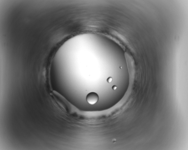 X0000088421402200706051203
