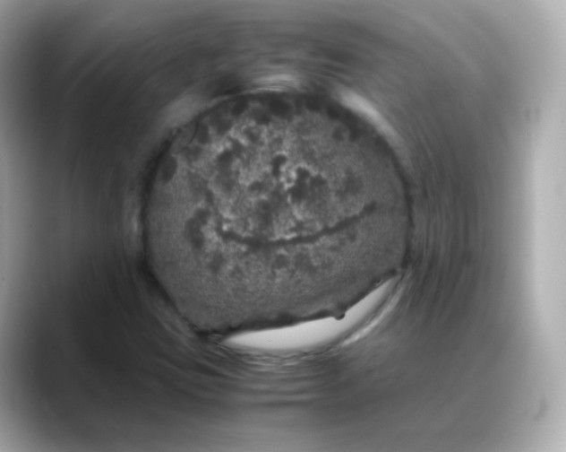 X0000088421403200706051203