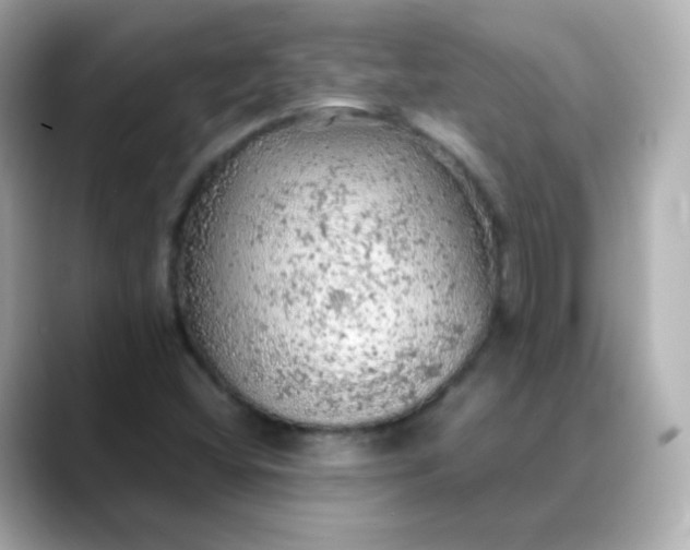 X0000088421404200706051203