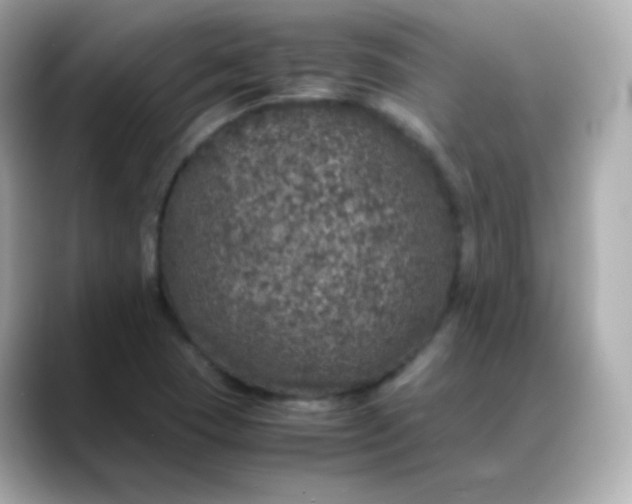 X0000088421409200706051203
