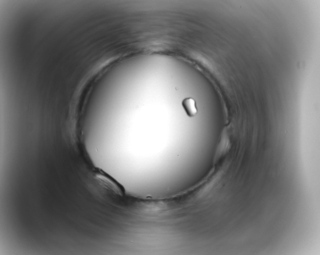X0000088421410200706051203