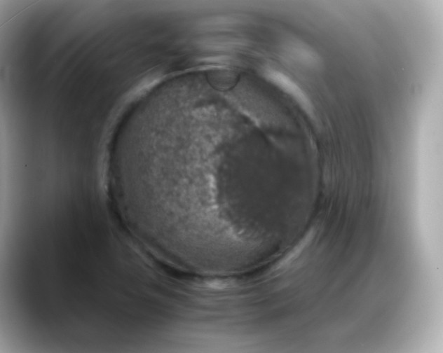 X0000088421411200706051203