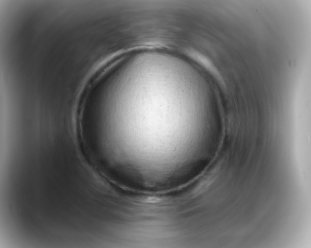 X0000088421412200706051203