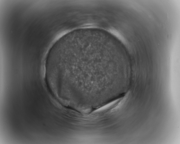 X0000088421413200706051203