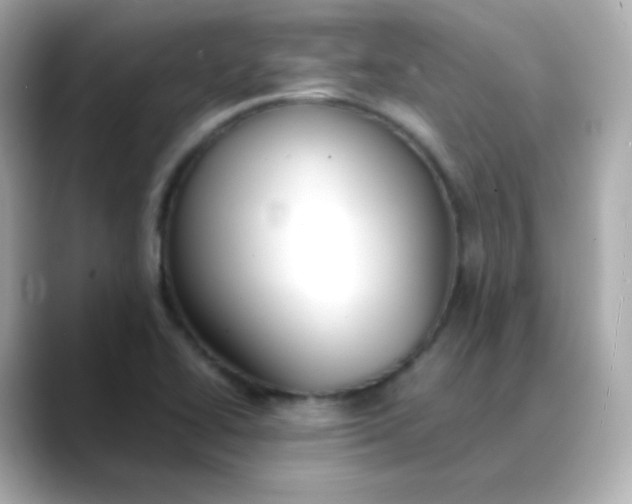 X0000088421414200706051203