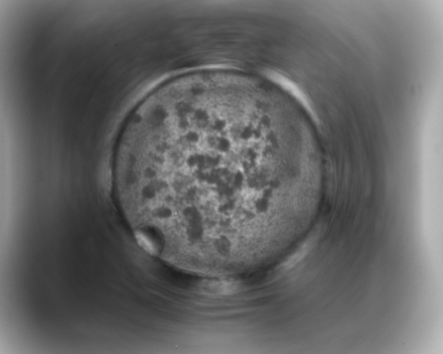 X0000088421415200706051203