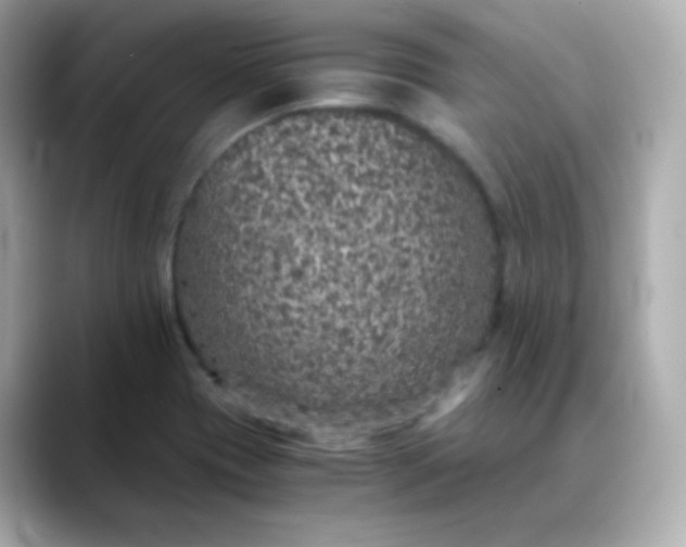 X0000088421417200706051203