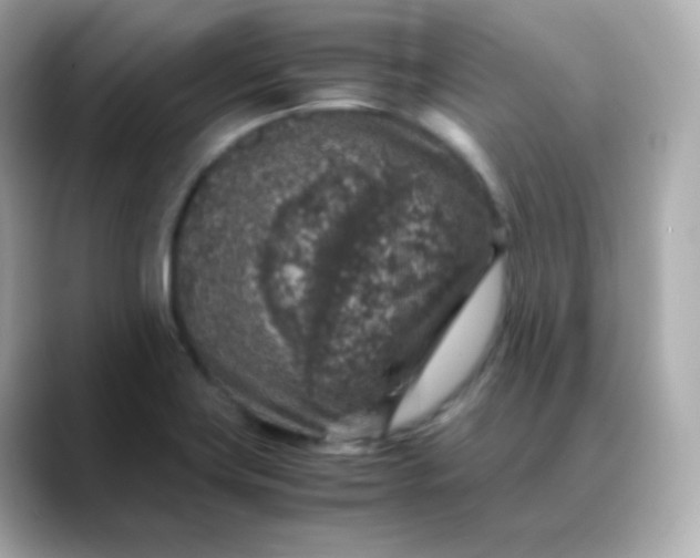 X0000088421419200706051203