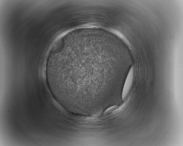 X0000088421421200706051203