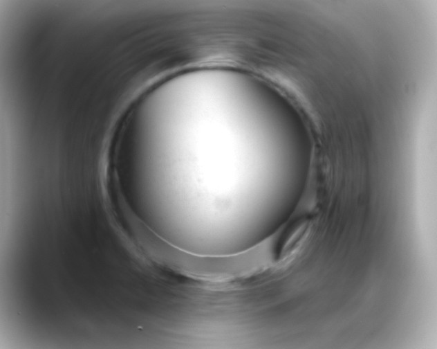 X0000088421422200706051203