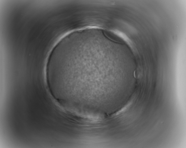 X0000088421423200706051203