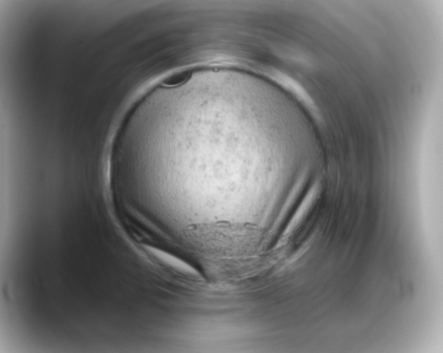 X0000088421424200706051203