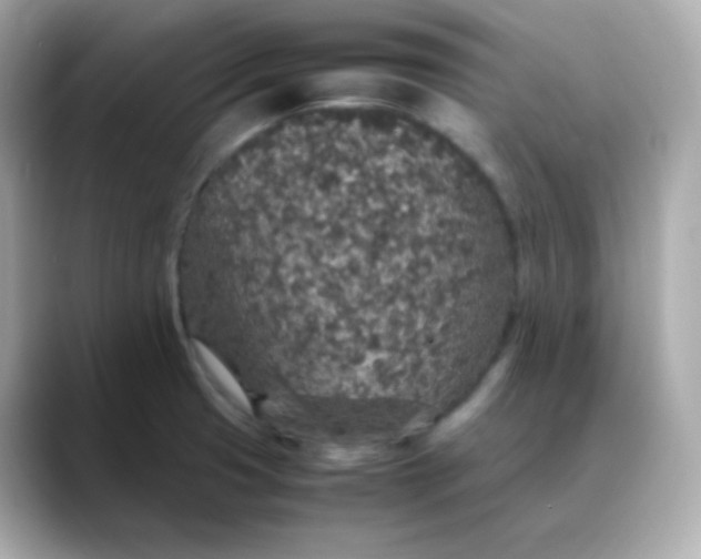 X0000088421425200706051203