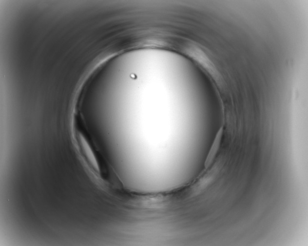 X0000088421426200706051203