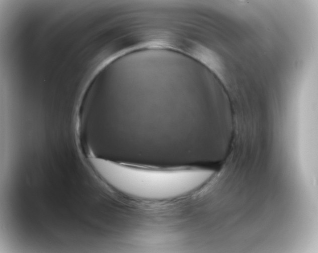 X0000088421428200706051203