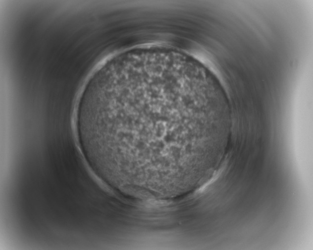 X0000088421429200706051203