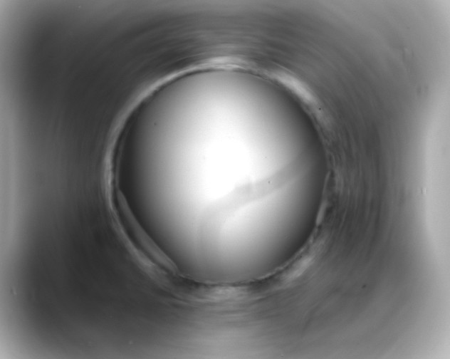 X0000088421430200706051203