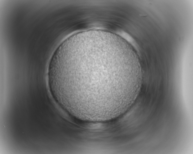 X0000088421431200706051203