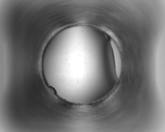 X0000088421432200706051203