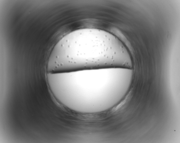 X0000088421433200706051203