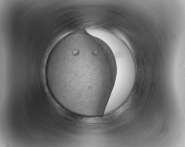 X0000088421434200706051203