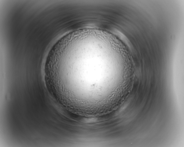 X0000088421435200706051203