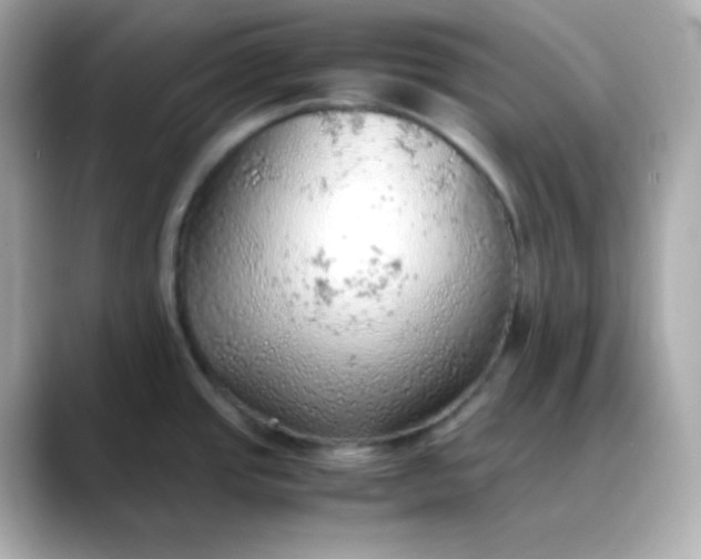 X0000088421437200706051204