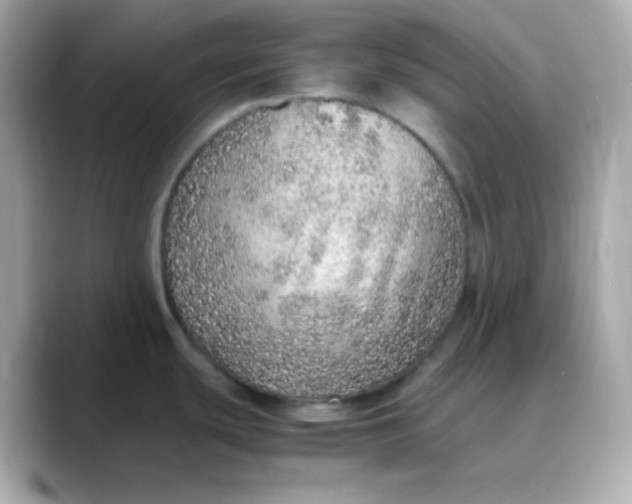 X0000088421439200706051204
