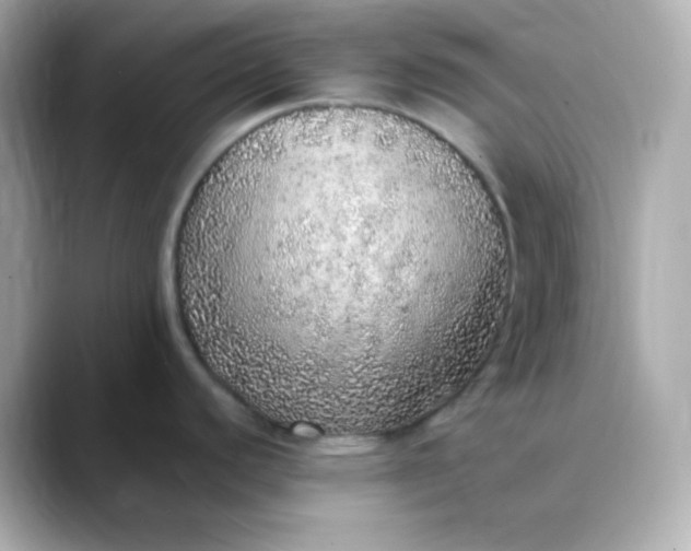 X0000088421440200706051204