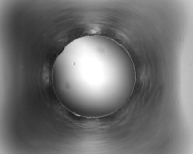X0000088421442200706051203