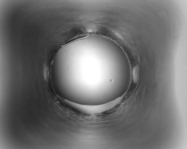 X0000088421443200706051203