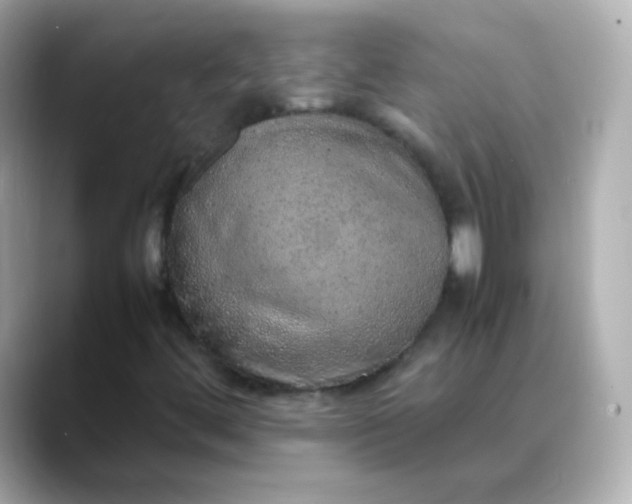 X0000088421444200706051203