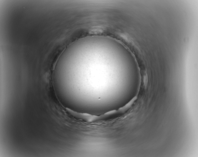 X0000088421445200706051203
