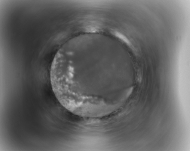 X0000088421446200706051203