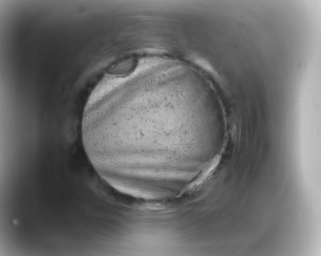 X0000088421448200706051203