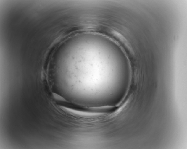 X0000088421449200706051203