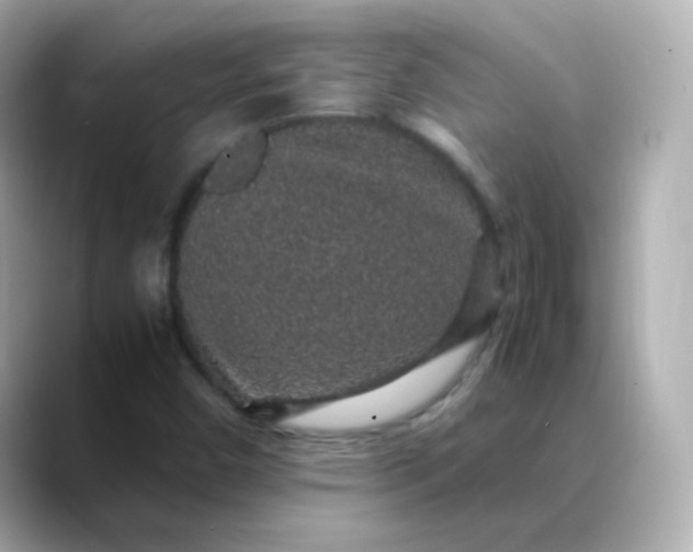 X0000088421450200706051203