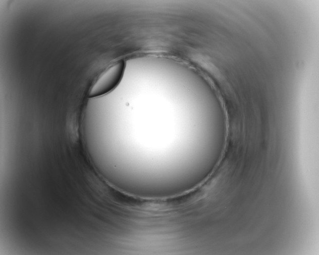 X0000088421451200706051203
