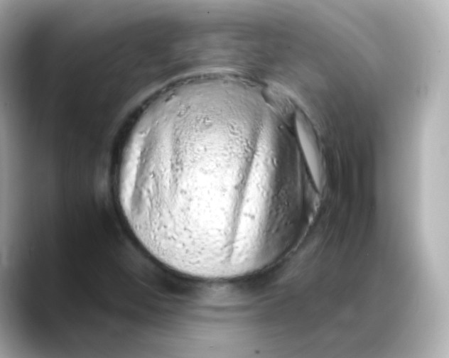 X0000088421452200706051203