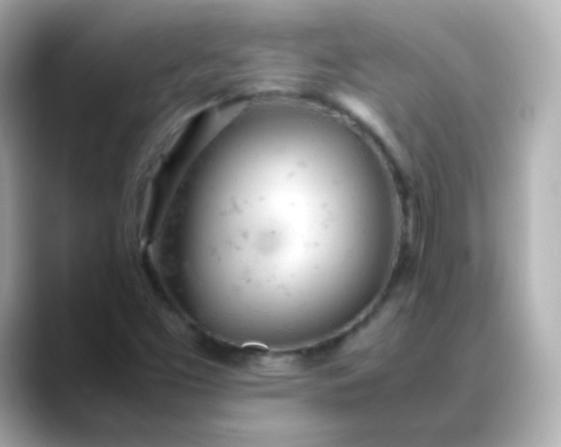 X0000088421453200706051203