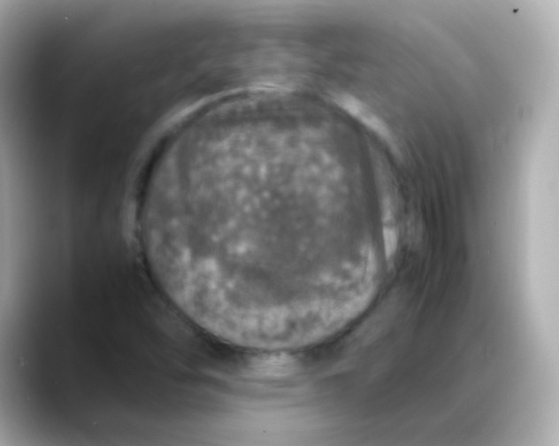 X0000088421454200706051203