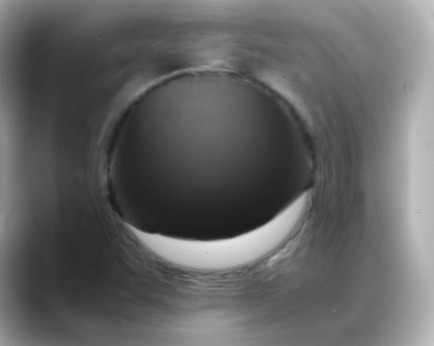 X0000088421455200706051203