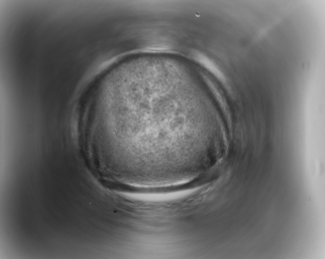 X0000088421456200706051203