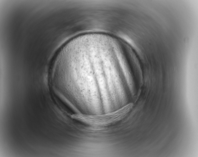 X0000088421460200706051203