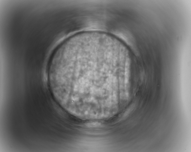 X0000088421462200706051203