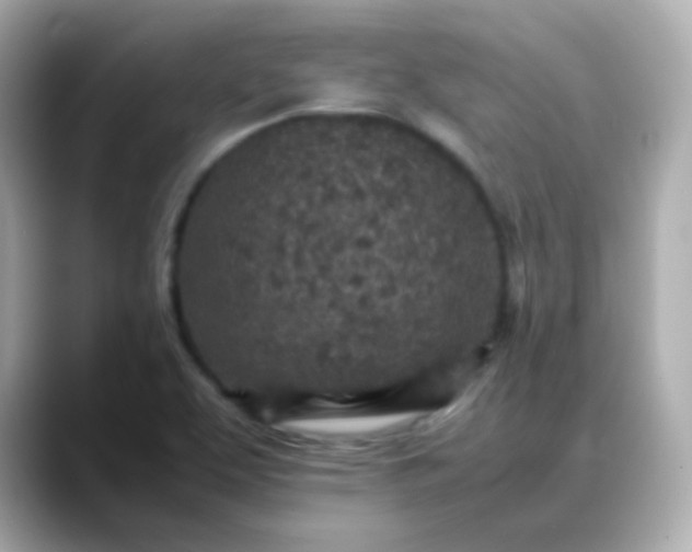 X0000088421463200706051203
