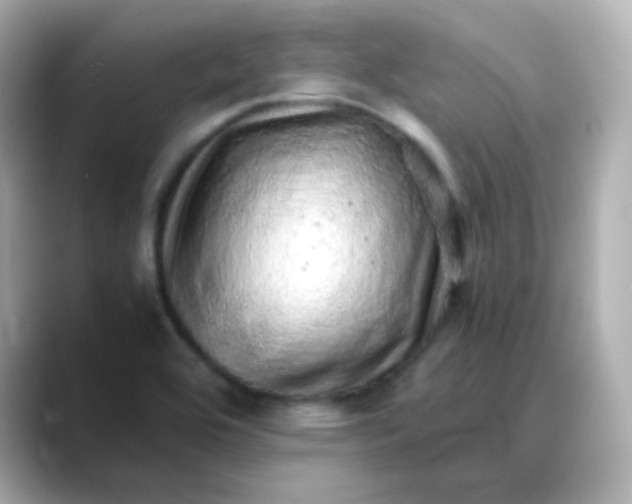 X0000088421464200706051203