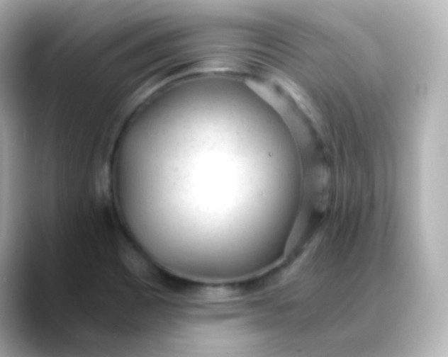 X0000088421465200706051203