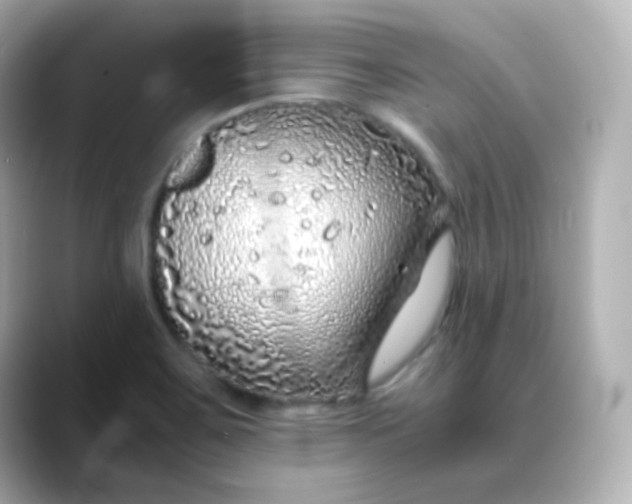 X0000088421467200706051203