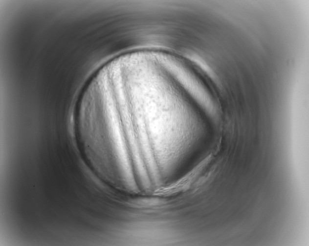X0000088421468200706051203
